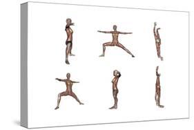 Six Different Views of Warrior Yoga Pose Showing Female Musculature-null-Stretched Canvas