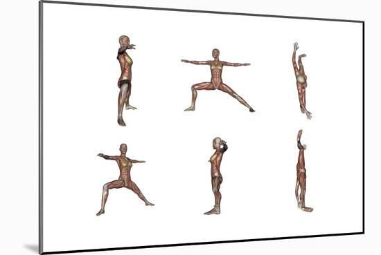 Six Different Views of Warrior Yoga Pose Showing Female Musculature-null-Mounted Art Print