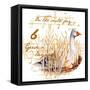 Six Geese a-Laying-Janice Gaynor-Framed Stretched Canvas