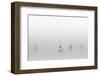 Six Moored Sailboats-Nicholas Bell-Framed Photographic Print