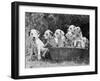 Six of the Puppies are Crowded in the Basket the Seventh is the Clever One as He Sits Outside It-Thomas Fall-Framed Photographic Print