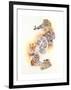 Six Pack-Barbara Keith-Framed Giclee Print