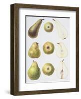 Six Pears, 1994-Margaret Ann Eden-Framed Giclee Print