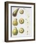 Six Pears, 1994-Margaret Ann Eden-Framed Giclee Print