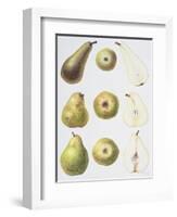 Six Pears, 1994-Margaret Ann Eden-Framed Giclee Print