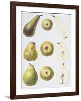 Six Pears, 1994-Margaret Ann Eden-Framed Giclee Print