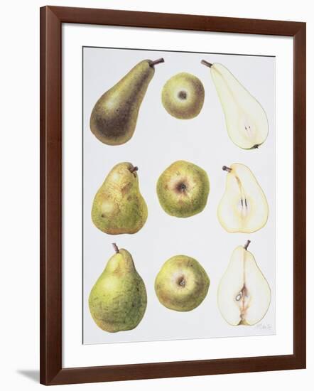 Six Pears, 1994-Margaret Ann Eden-Framed Giclee Print