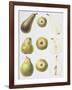 Six Pears, 1994-Margaret Ann Eden-Framed Giclee Print