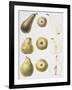 Six Pears, 1994-Margaret Ann Eden-Framed Giclee Print