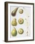 Six Pears, 1994-Margaret Ann Eden-Framed Giclee Print