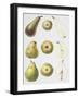 Six Pears, 1994-Margaret Ann Eden-Framed Giclee Print