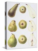 Six Pears, 1994-Margaret Ann Eden-Stretched Canvas