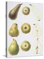 Six Pears, 1994-Margaret Ann Eden-Stretched Canvas