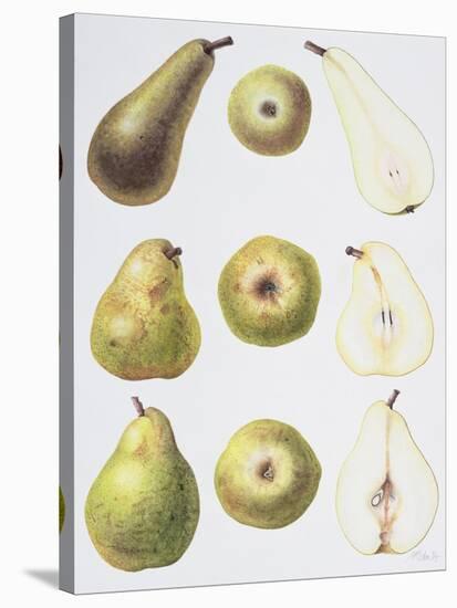 Six Pears, 1994-Margaret Ann Eden-Stretched Canvas