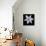 Six Petalled White  2020  (photograph)-Ant Smith-Framed Stretched Canvas displayed on a wall