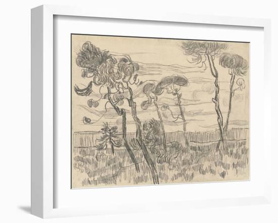 Six Pines Near the Enclosure Wall, 1899-Vincent van Gogh-Framed Giclee Print