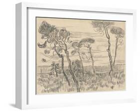 Six Pines Near the Enclosure Wall, 1899-Vincent van Gogh-Framed Giclee Print