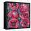 Six Pink Poppies-li bo-Framed Stretched Canvas