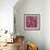 Six Pink Poppies-li bo-Framed Giclee Print displayed on a wall
