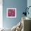 Six Pink Poppies-li bo-Framed Giclee Print displayed on a wall