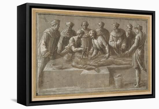 Six Professors of Anatomy, Dissecting a Flayed Male Corpse-Biagio Pupini-Framed Stretched Canvas