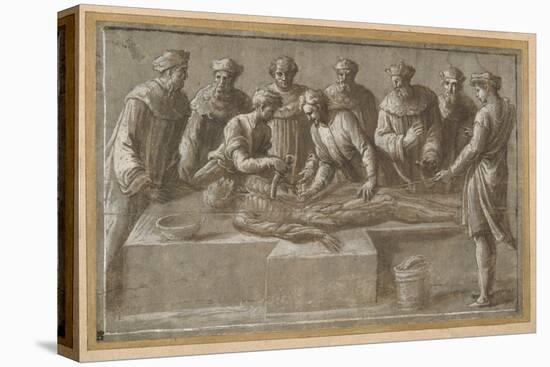 Six Professors of Anatomy, Dissecting a Flayed Male Corpse-Biagio Pupini-Stretched Canvas