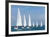 Six Sailing Ship Yachts with White Sails in A Row-dmbaker-Framed Photographic Print