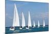 Six Sailing Ship Yachts with White Sails in A Row-dmbaker-Mounted Photographic Print