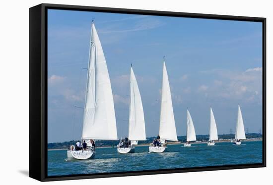 Six Sailing Ship Yachts with White Sails in A Row-dmbaker-Framed Stretched Canvas