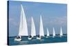 Six Sailing Ship Yachts with White Sails in A Row-dmbaker-Stretched Canvas