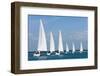 Six Sailing Ship Yachts with White Sails in A Row-dmbaker-Framed Photographic Print