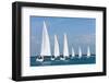 Six Sailing Ship Yachts with White Sails in A Row-dmbaker-Framed Photographic Print