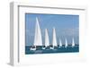 Six Sailing Ship Yachts with White Sails in A Row-dmbaker-Framed Photographic Print