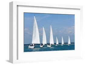 Six Sailing Ship Yachts with White Sails in A Row-dmbaker-Framed Photographic Print