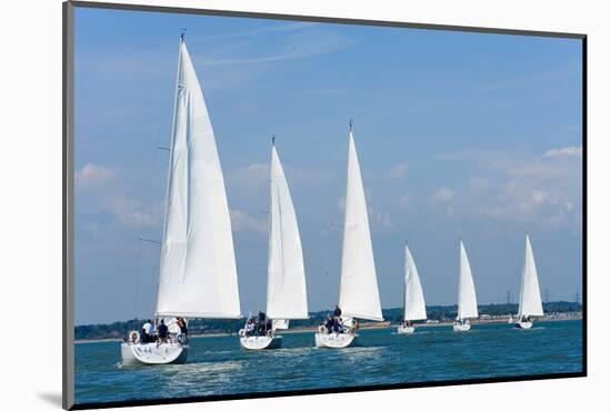 Six Sailing Ship Yachts with White Sails in A Row-dmbaker-Mounted Photographic Print