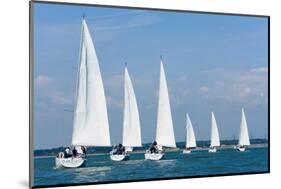 Six Sailing Ship Yachts with White Sails in A Row-dmbaker-Mounted Photographic Print