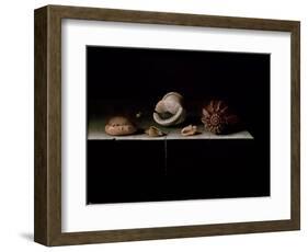 Six Shells on a Stone Shelf, 1696-Adrian Coorte-Framed Giclee Print