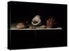 Six Shells on a Stone Shelf, 1696-Adrian Coorte-Stretched Canvas