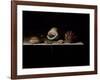 Six Shells on a Stone Shelf, 1696-Adrian Coorte-Framed Giclee Print