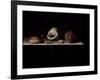 Six Shells on a Stone Shelf, 1696-Adrian Coorte-Framed Giclee Print