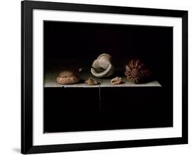 Six Shells on a Stone Shelf, 1696-Adrian Coorte-Framed Giclee Print