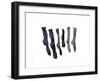 Six Socks, 2003-Miles Thistlethwaite-Framed Giclee Print