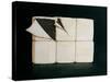 Six Stacked Packages-Lincoln Seligman-Stretched Canvas