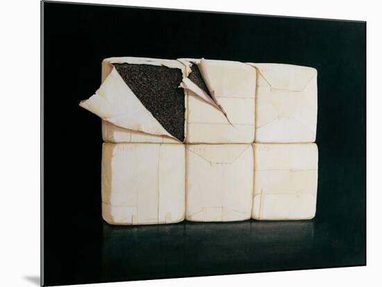 Six Stacked Packages-Lincoln Seligman-Mounted Giclee Print
