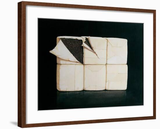 Six Stacked Packages-Lincoln Seligman-Framed Giclee Print