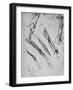 'Six Studies of an Arm Showing in Three Cases the Bones', c1480 (1945)-Leonardo Da Vinci-Framed Giclee Print