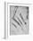 'Six Studies of an Arm Showing in Three Cases the Bones', c1480 (1945)-Leonardo Da Vinci-Framed Giclee Print