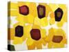 Six Sunflowers-Anne Becker-Stretched Canvas