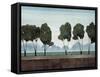 Six Trees-Robert Charon-Framed Stretched Canvas