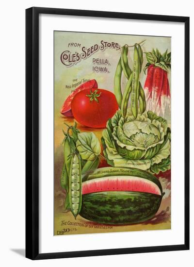 Six Varieties from Cole's Seed Store, Pella, Iowa-null-Framed Art Print